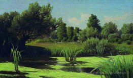 Le paysage. Les anches de la rivière.