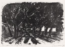 Sept sœurs - un groupe d'arbres sur KNSM-Island à Amsterdam