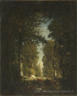 Avenue, Forest Isle Adam