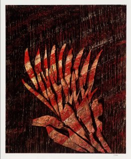Impression 11