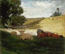 Après-midi chaud (berger)