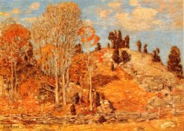 Le lot de cèdre, Old Lyme