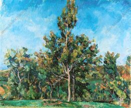 Arbre contre le ciel
