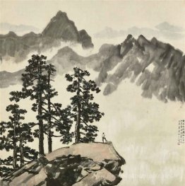Tianmu Mouriens