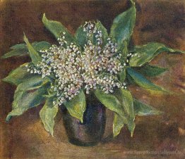 Marguerits