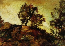 Paysage rocheux