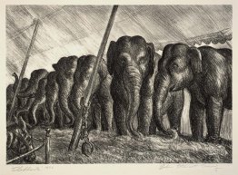 Éléphants du cirque