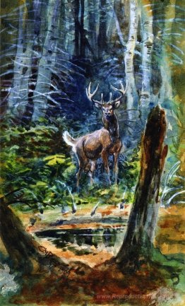 Cerf dans le Dell