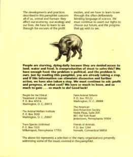Porc 11