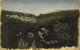Tournesols. Crimée