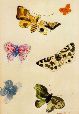 Papillons