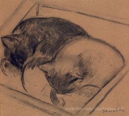 Deux chats endormis