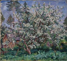 Pommier en fleurs