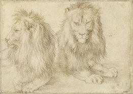 Deux lions assis