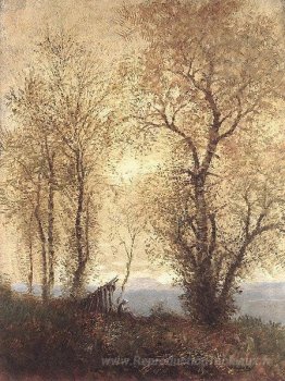 Paysage à l'automne