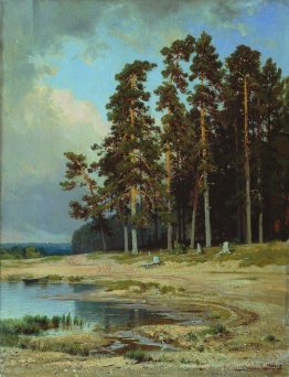 Forêt