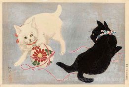 Chats avec une balle