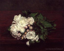 Fleurs, roses blanches