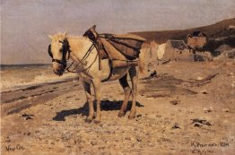 Cheval pour les pierres qui se collectent dans la vela