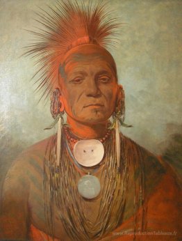 See-Non-Ty-A, un Iowa Medicine Man