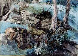 Roches et fougères dans un bois à Crossmount