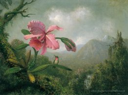 Orchidée et colibri près d'une cascade de montagne