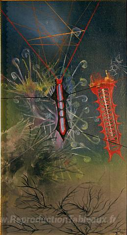 Aérofleur