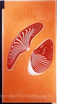 Genèse II