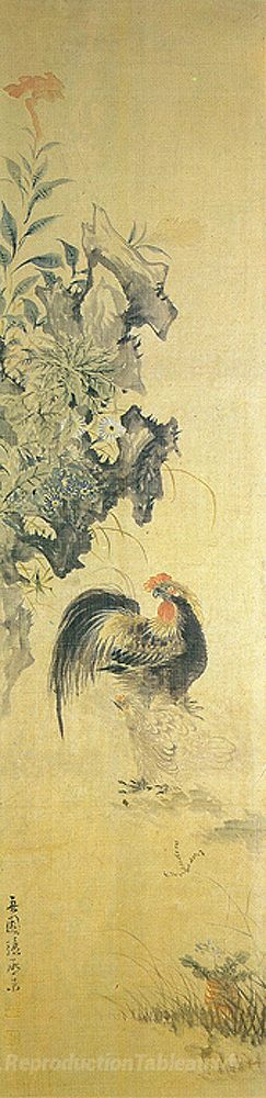 Coq