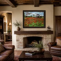 Champ avec coquelicots — Villa italienne