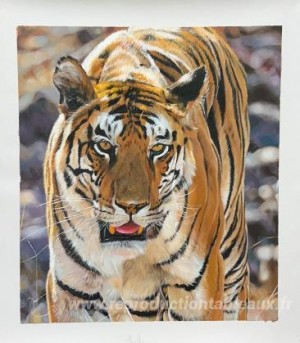 Tableau personnalisé