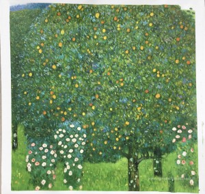 Roses sous les arbres