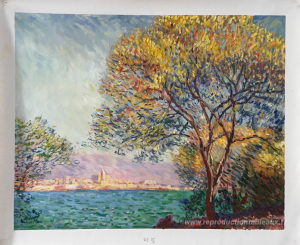 Destins animaux (les arbres montrent leurs anneaux, les animaux 
