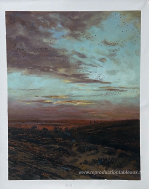 Migration du soir des oiseaux