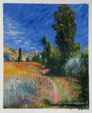 Paysage sur l'Ile Saint-Martin