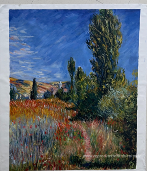 Paysage sur l'Ile Saint-Martin