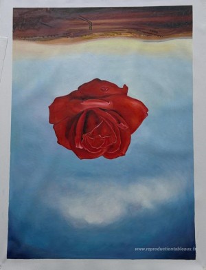 Rose méditative