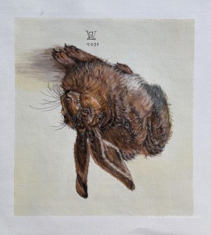 Un jeune lièvre