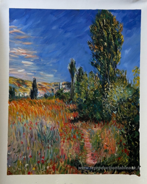 Paysage sur l'Ile Saint-Martin