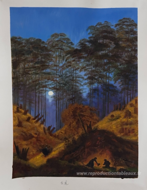 À l'intérieur de la forêt sous le clair de lune