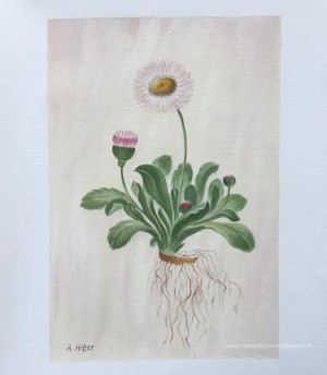 Tableau personnalisé