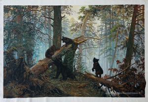 Matin dans une forêt de pin